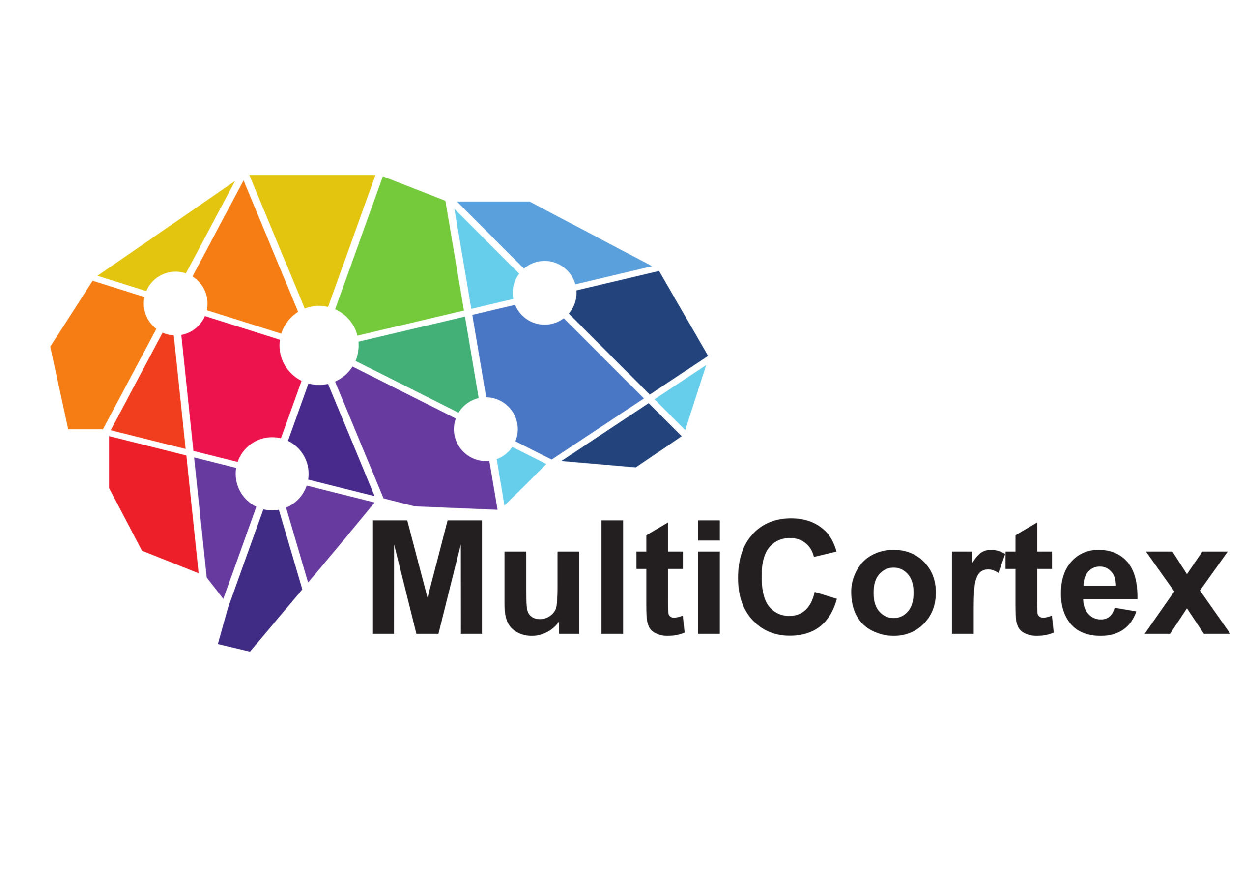 Multicortex